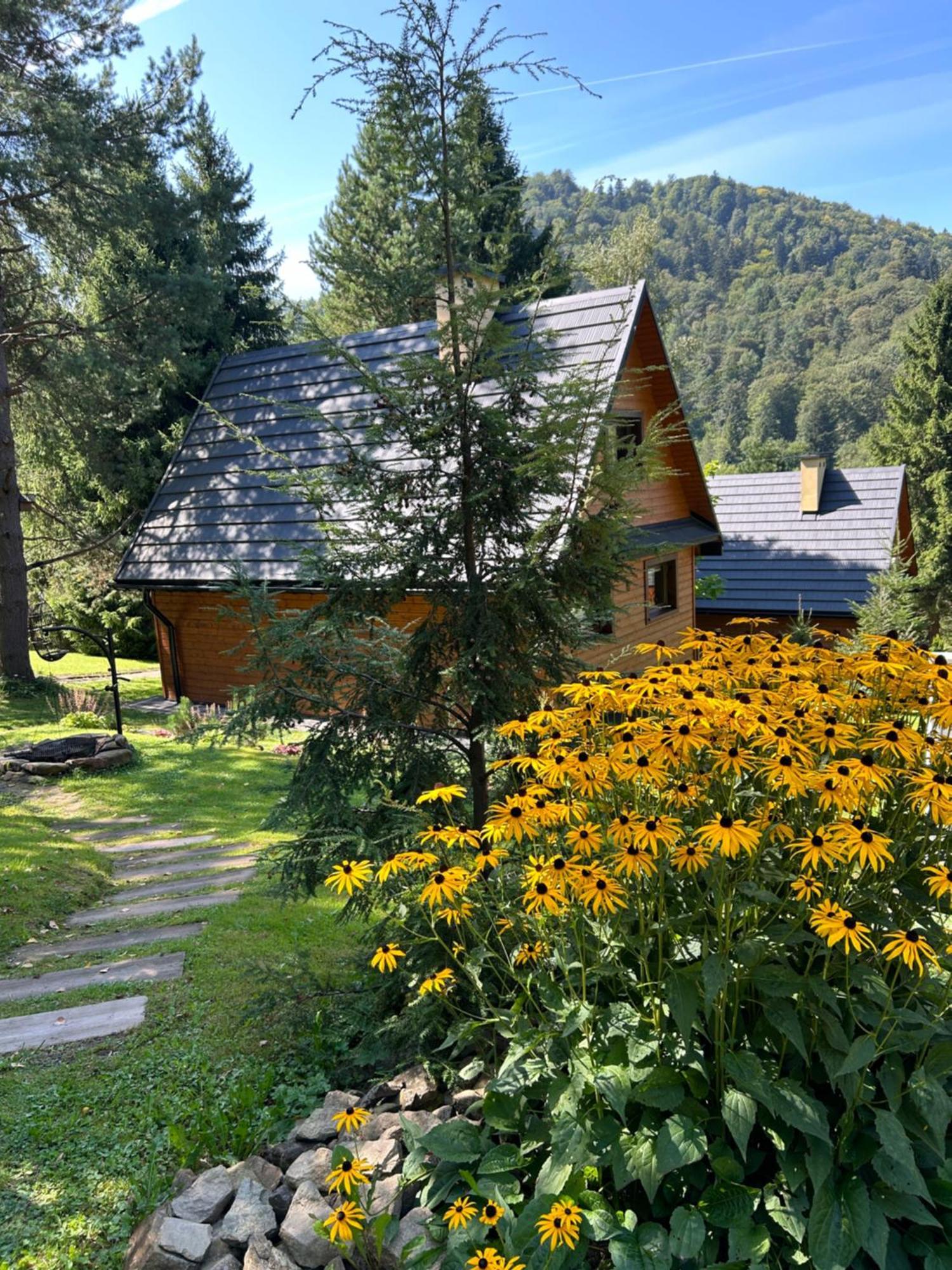 Chaleter Reset Bieszczady Bystre (Lesko)